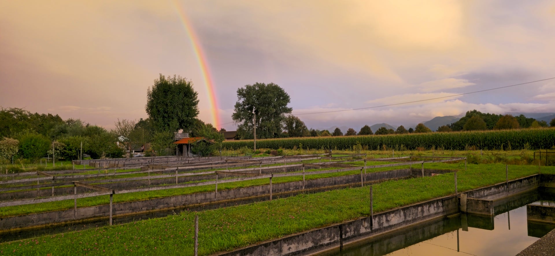 Keramikmalstudio Bild 1